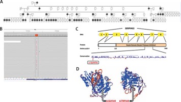 /f/fulltexts/PDIA/33942/PDIA-36-78898-g003_min.jpg